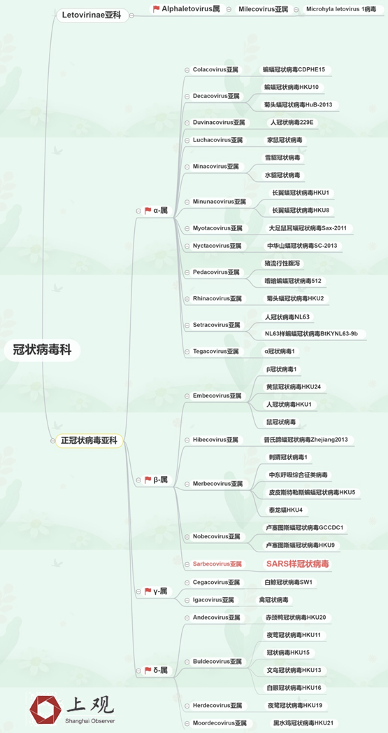 新冠病毒是不是SARS呢？了解下冠狀病毒分類